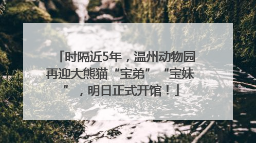 时隔近5年，温州动物园再迎大熊猫“宝弟”“宝妹”，明日正式开馆！